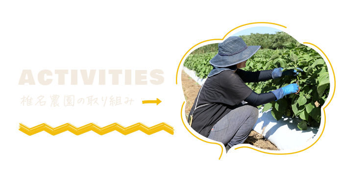 bnrhalf_activities_bg