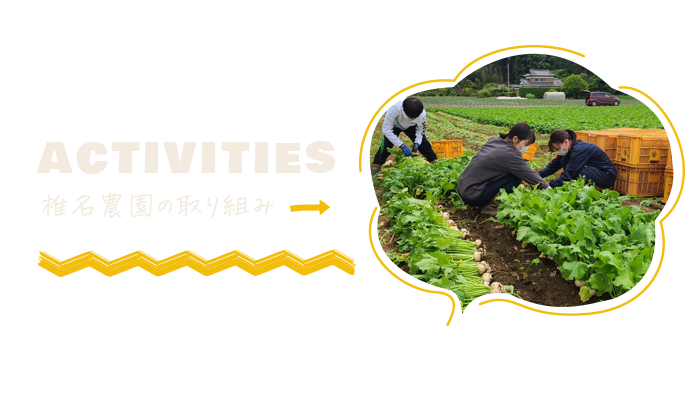 bnrhalf_activities_bg