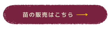 secondmain_btn_off